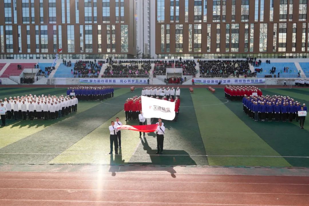 凝心聚力筑梦想 上下一心创佳绩|乐鱼平台2024年度职工运动会成功举办
