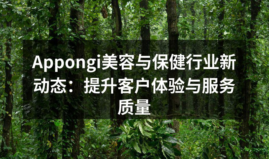 技术创新提升服务效率