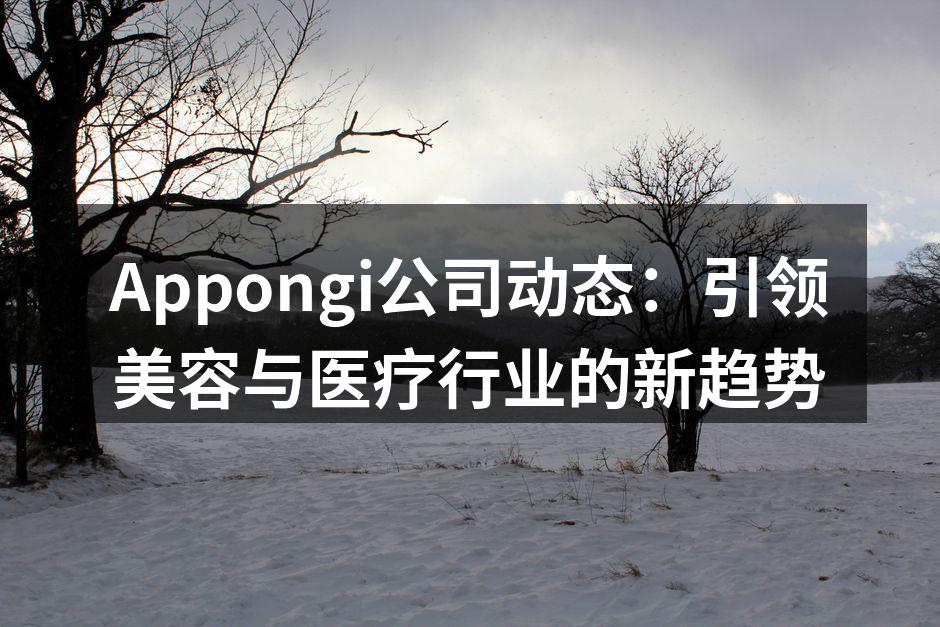 Appongi团队在会议上分享创新成果